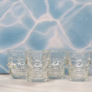 Shot Glasses / Set 4 : SKULL